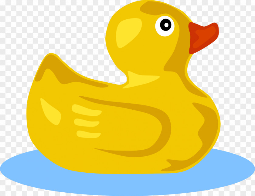 Ducky Pictures Rubber Duck Clip Art PNG