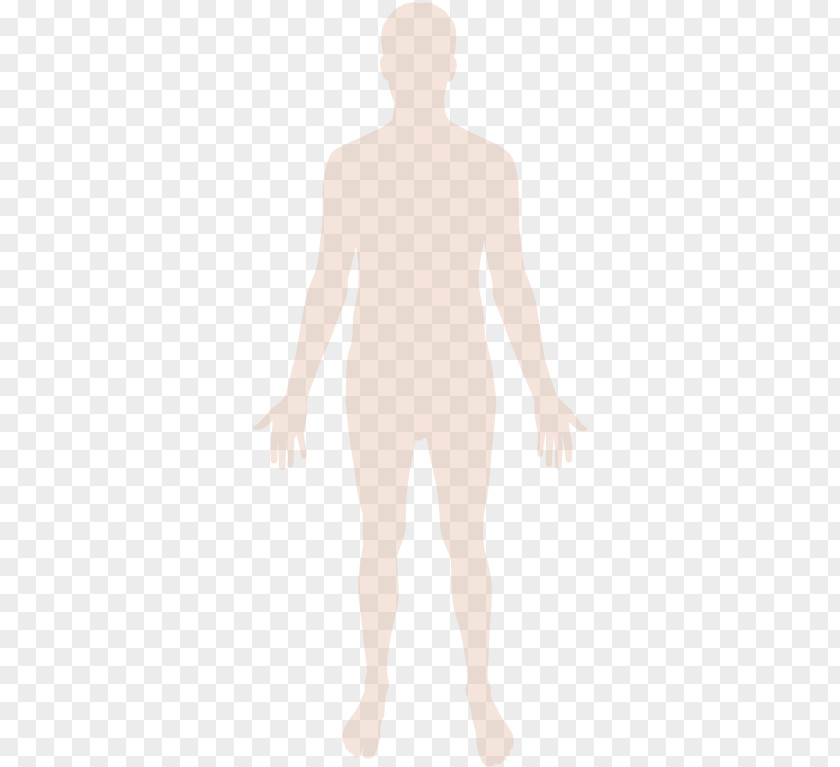 Hand Homo Sapiens Human Body PNG