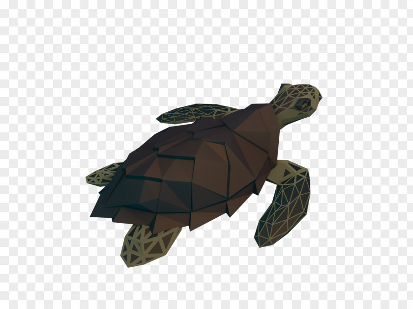 Low Poly Tortoise Emydidae PNG
