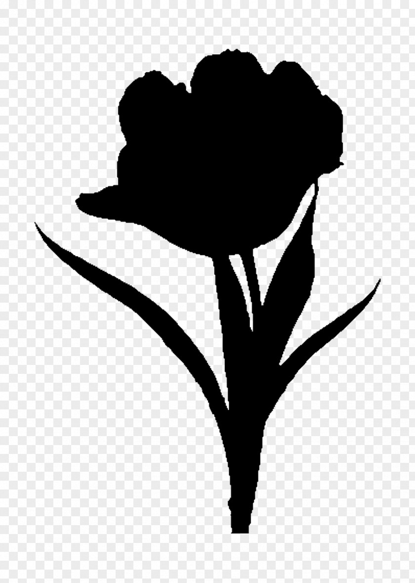 M Tulip Rose Family Clip Art Black & White PNG