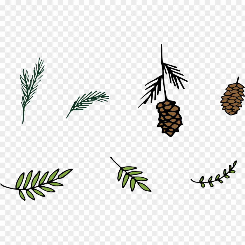 Matsutake Pine Leaves Vector Elements Leaf Euclidean PNG