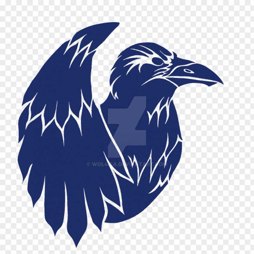 Raven Feather Art Clip PNG