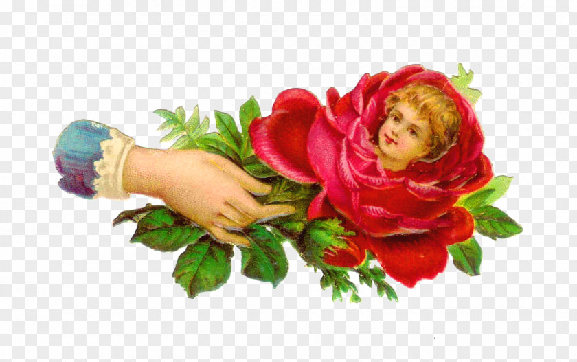 Vintage Flower Victorian Era Rose Clip Art PNG