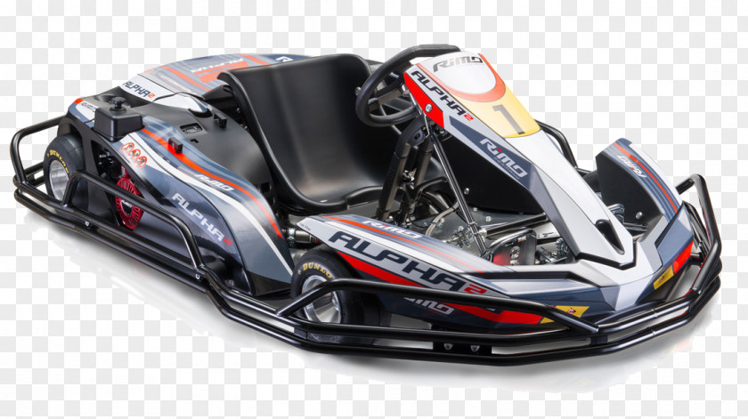 Electric Go-kart Kart Racing Circuit RiMO GERMANY PNG