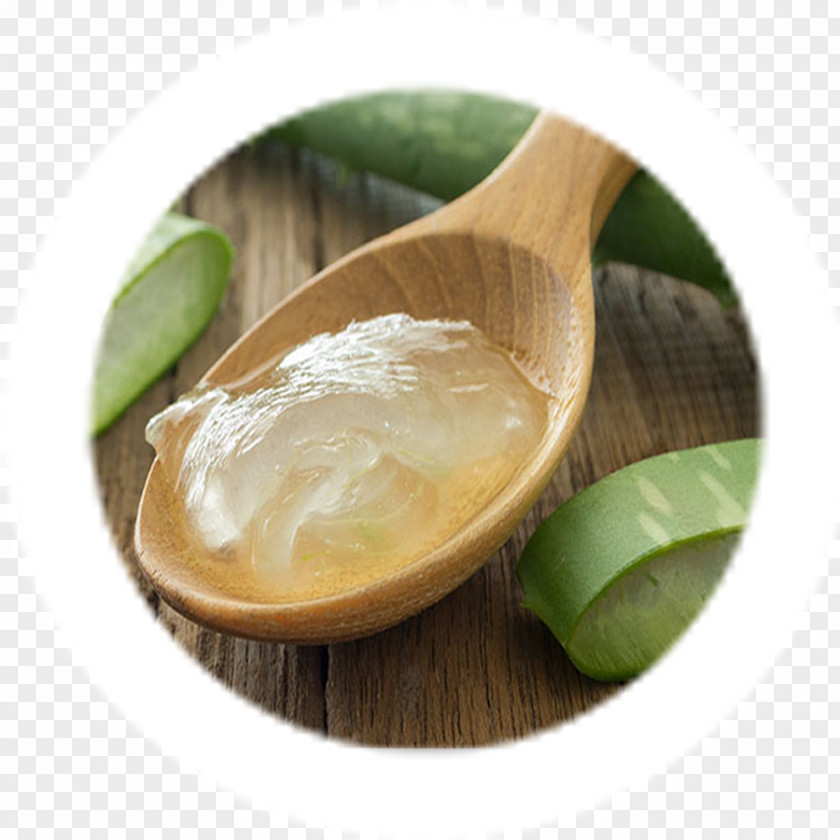 Health Aloe Vera Medicine Treatment Of Cancer Therapy PNG