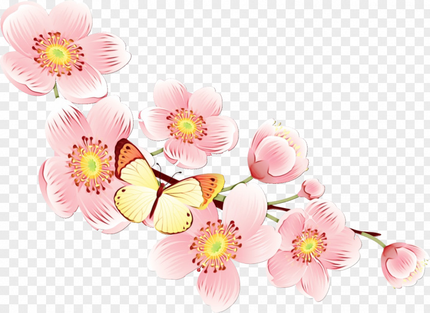 Spring Blossom Cherry PNG