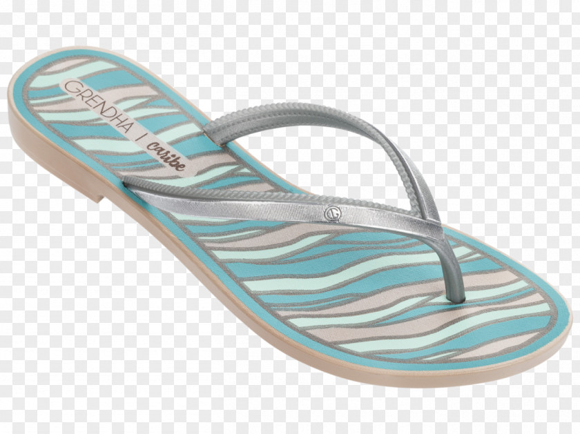 Acai Illustration Flip-flops Product Shoe Grendene Footwear PNG