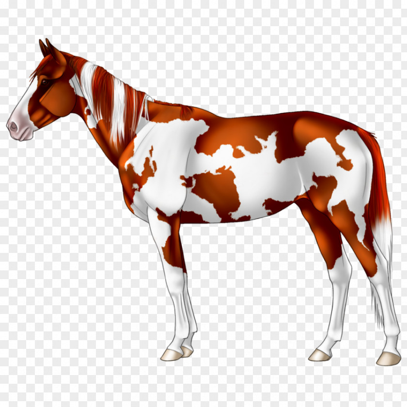 Mustang Foal Pony Stallion Mare PNG