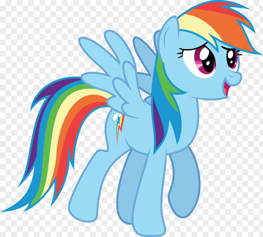 Rainbow Dash Pinkie Pie Applejack Rarity Twilight Sparkle PNG