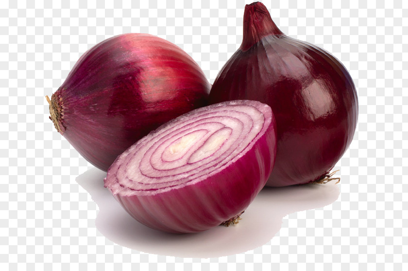 Red Onion Clipart Shallot Salsa Food Vegetable PNG