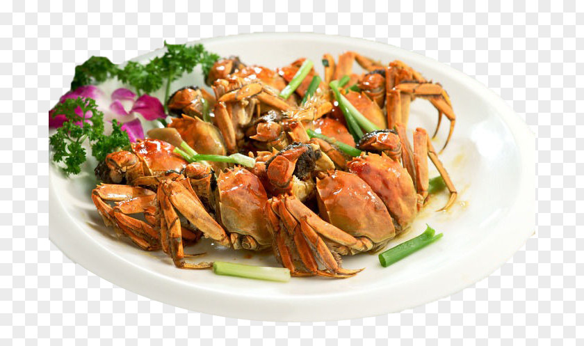 Spring Onion, Ginger Fried Crab Twice Cooked Pork Allium Fistulosum Lions Head Crispy Chicken Scallion PNG