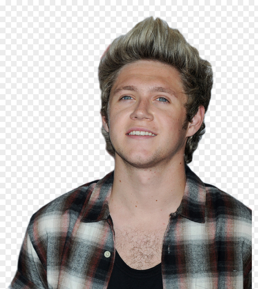 Valentine's Day Niall Horan One Direction: Forever Young Love PNG