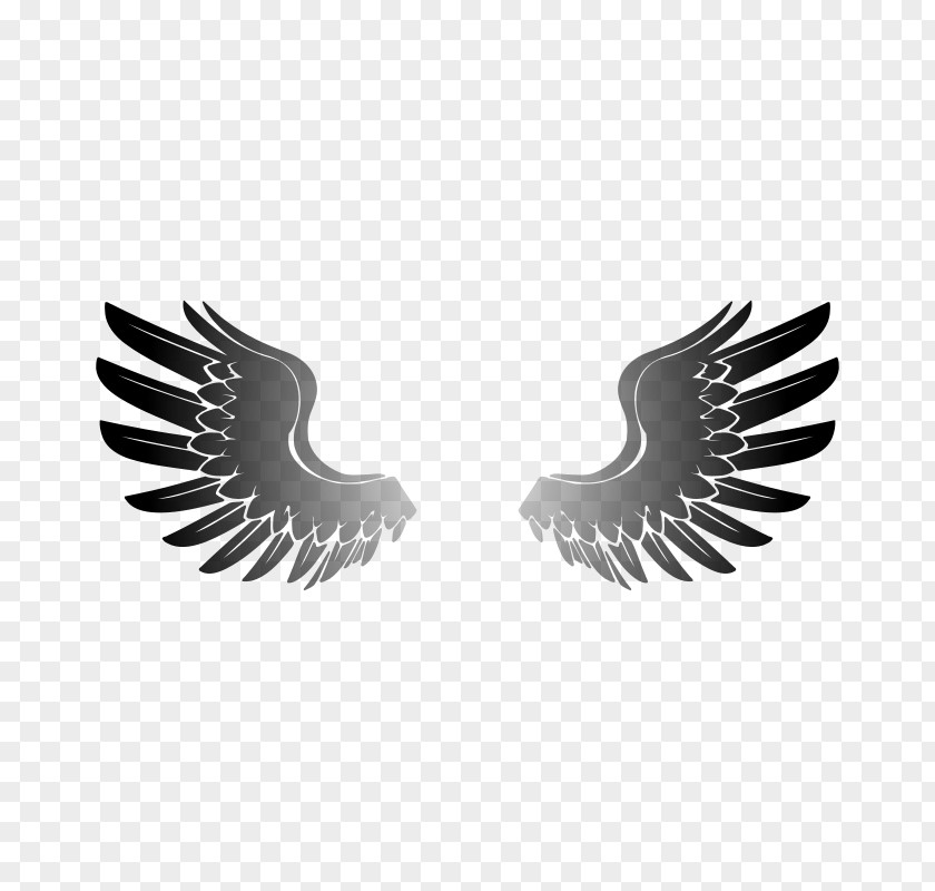 Winged Eagle Insignia Red-tailed Hawk Drawing Clip Art PNG