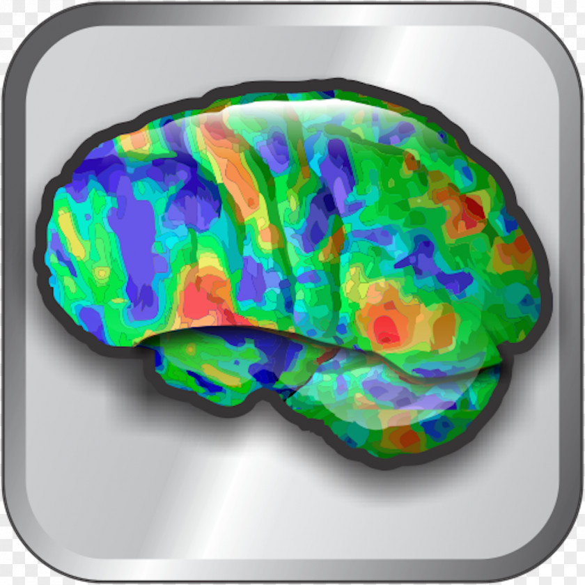 Brain Windows Phone Screenshot Medicine PNG