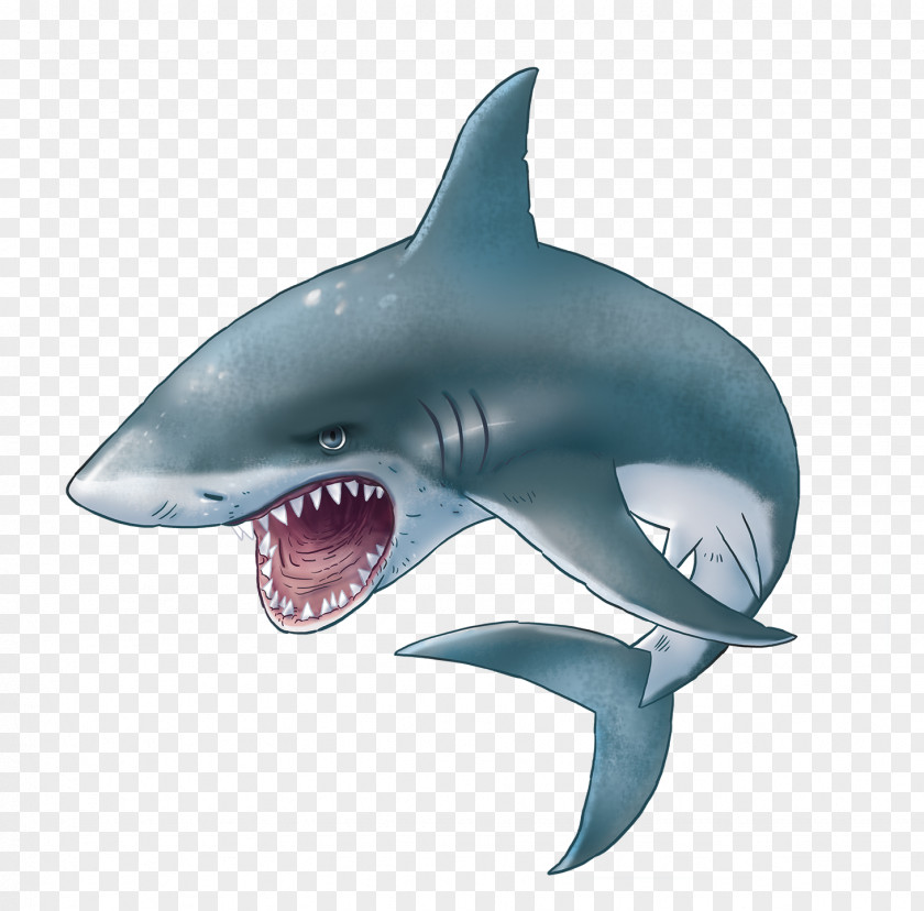 Shark Hungry Evolution Great White Clip Art PNG