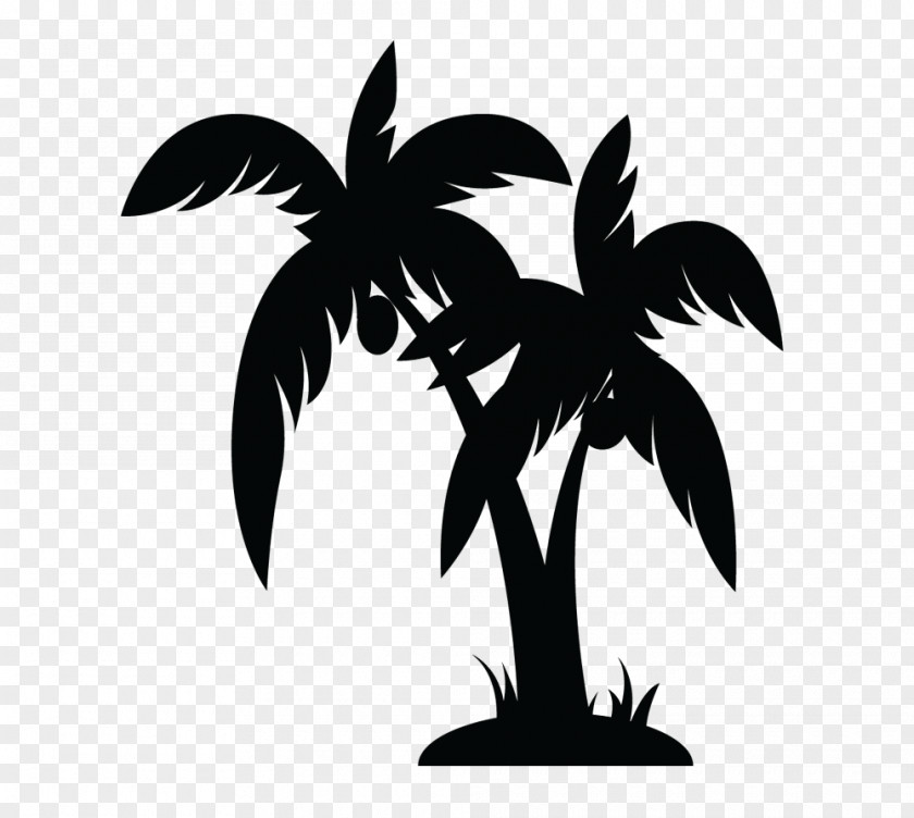 Tropical House Records Music Illustration Remix PNG