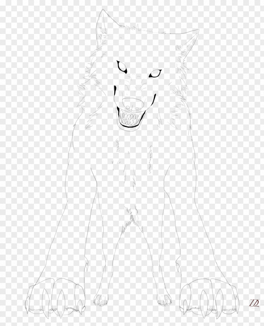 Bear Gray Wolf Snout White Sketch PNG