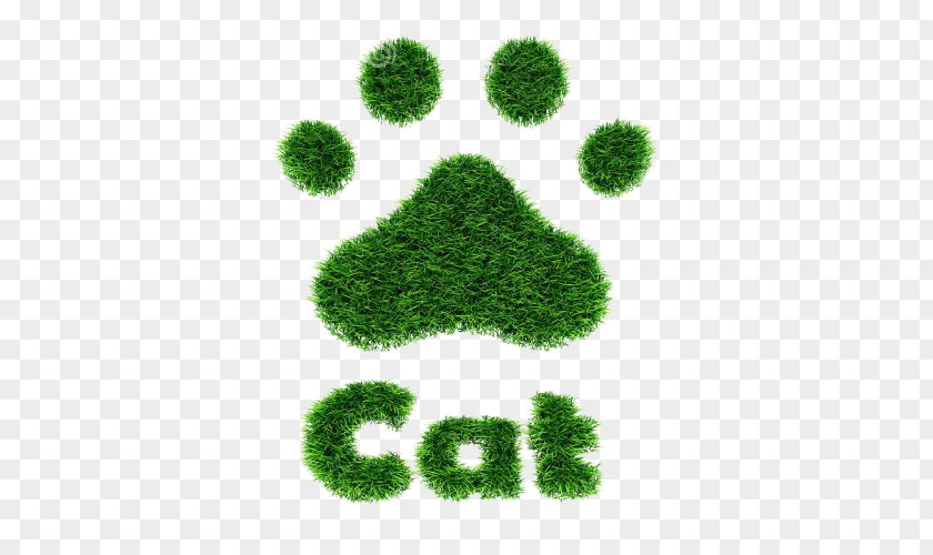 Cartoon Grass Cat Footprint Animal Track PNG