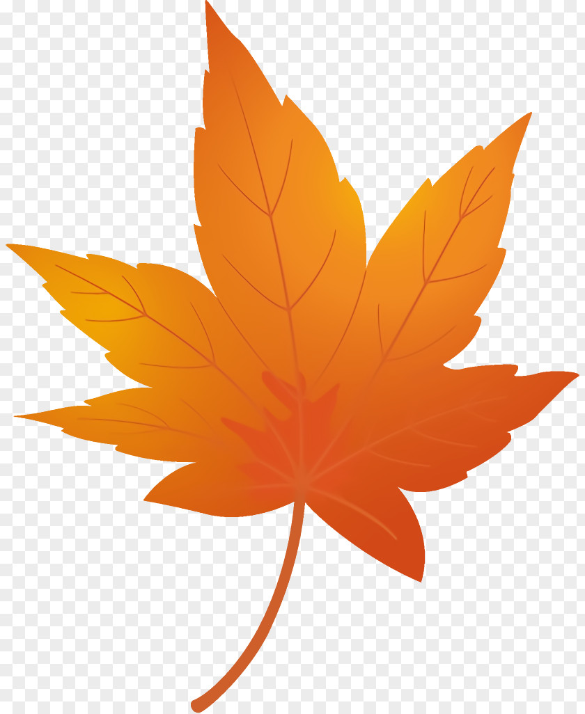 Plane Black Maple Leaf Autumn Yellow PNG