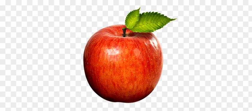 Red Apple Icon PNG