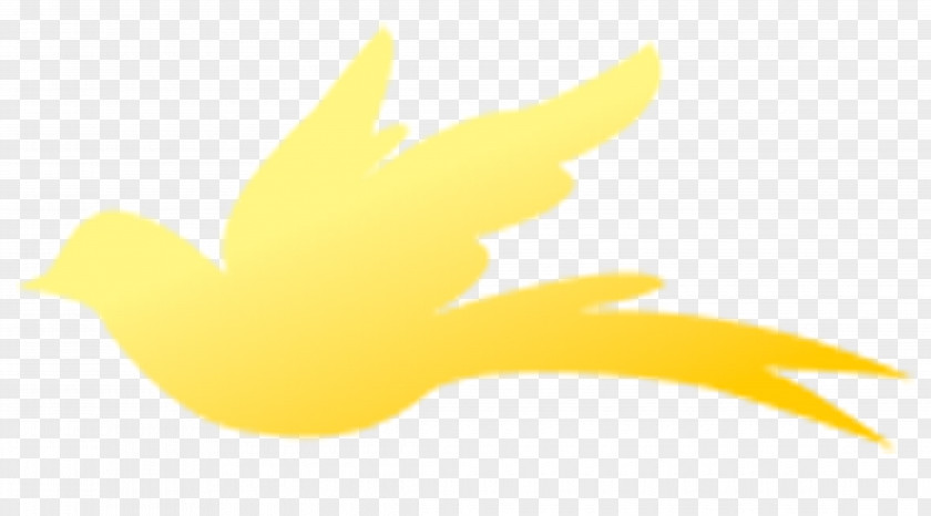 Yellow Bird Beak Water Duck Logo PNG