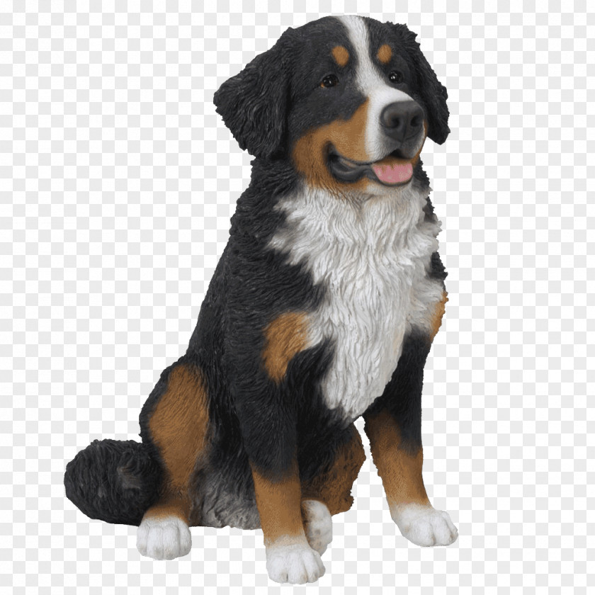 Bernese Mountain Dog Breed Greater Swiss Companion Clip Art PNG