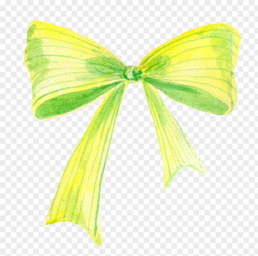 Bow Butterfly Tie Green PNG