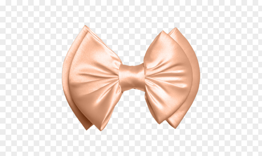 Bowknot Jewelry Shoelace Knot Bow Tie PNG