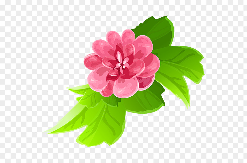 Flower Cut Flowers Color Floral Design Clip Art PNG