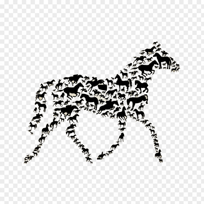 Horse Wall Decal Sticker PNG