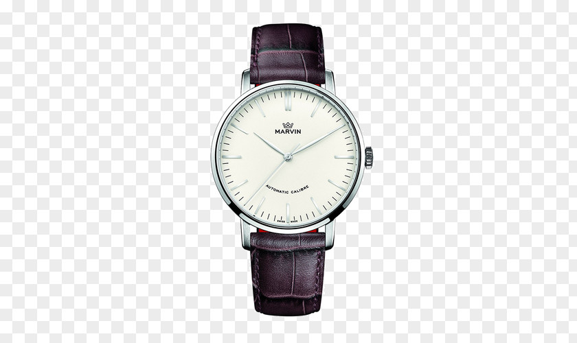 Mount Grain Belt Mechanical Male Watch Switzerland Automatic Clock Omega Seamaster Chronograph PNG