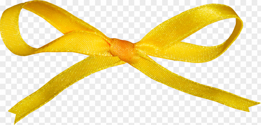 Ribbon Orange PNG