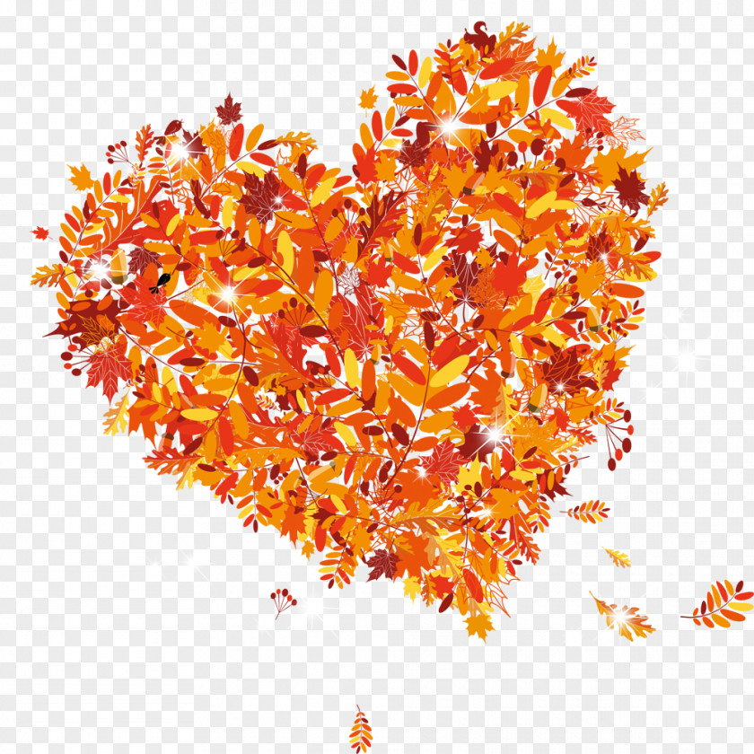 Yellow Autumn Leaves Heart-shaped Decoration Leaf Color PNG