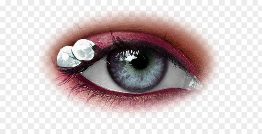 Eye Human Face Cosmetics Iris PNG