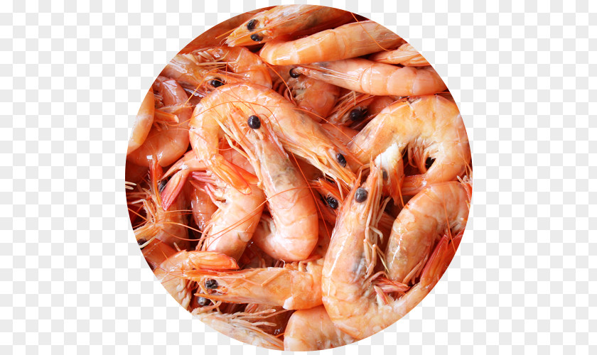 Prawns Caridea Restaurante Senhor Peixe Shrimp Seafood Restaurant PNG restaurant, clipart PNG