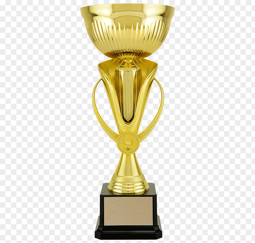 Trophy Award Cup Gold Medal Bowl PNG