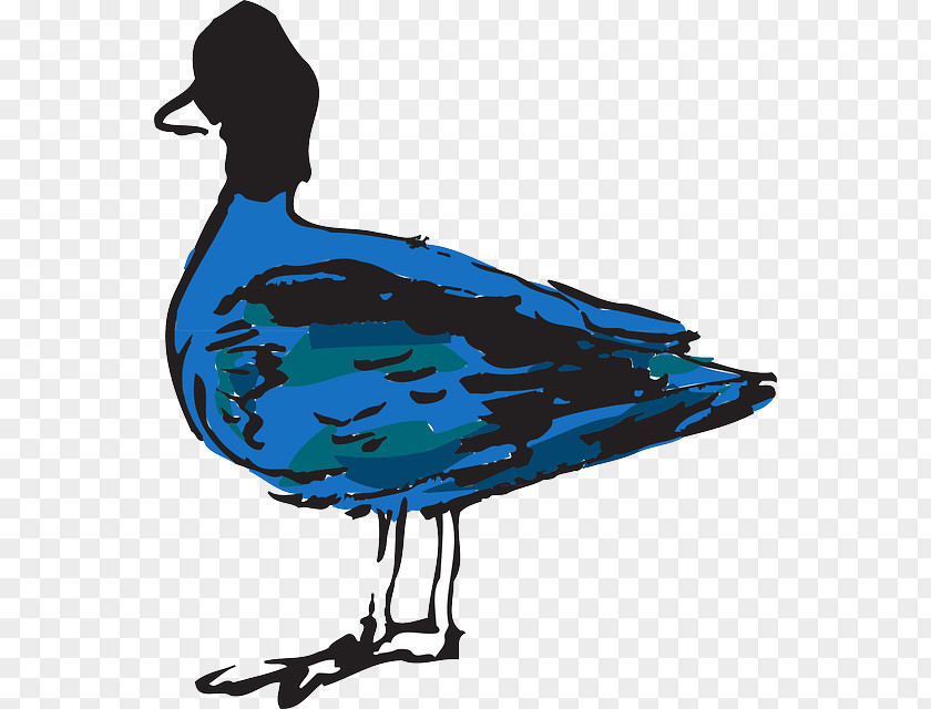 Blue Bird Duck Clip Art PNG