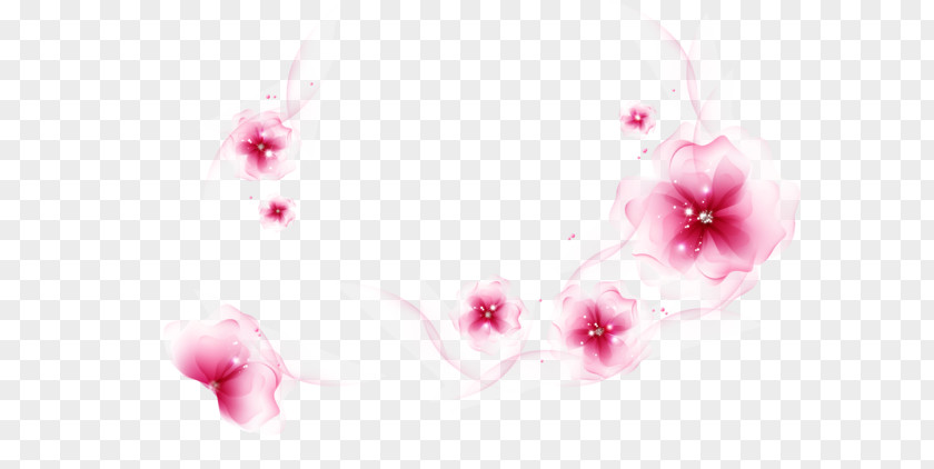 Flower Desktop Wallpaper Image Photograph PNG