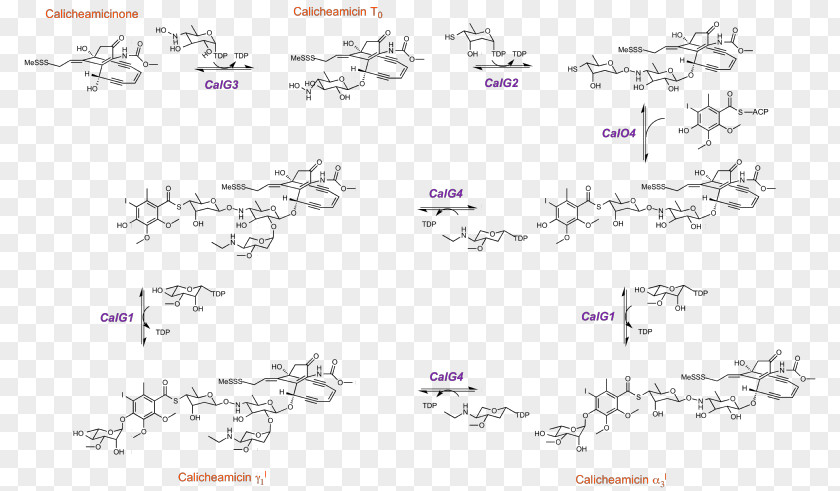 Pathway Block Copolymers Peptide Ring-opening Polymerization PNG