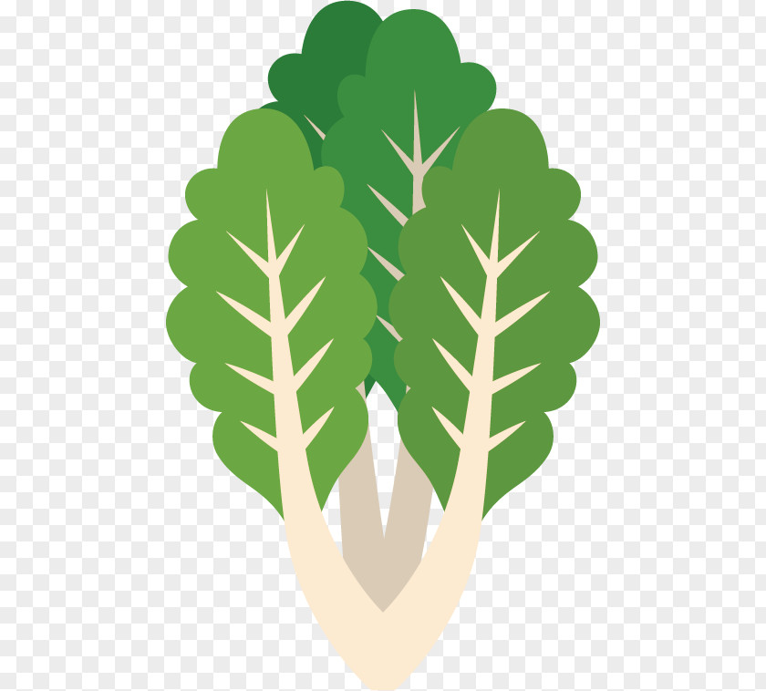 Pollution-free Green Cabbage Hamburger Veggie Burger Leaf Vegetable Lettuce PNG