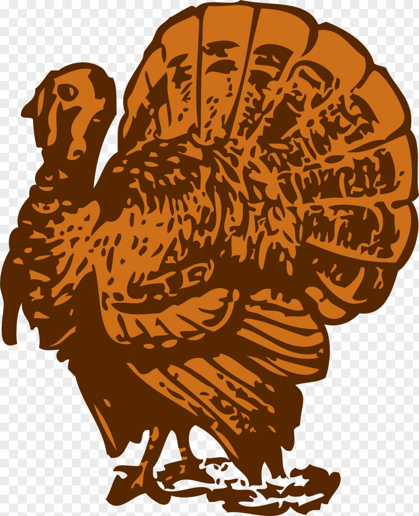 Turkey Bird Meat Clip Art PNG