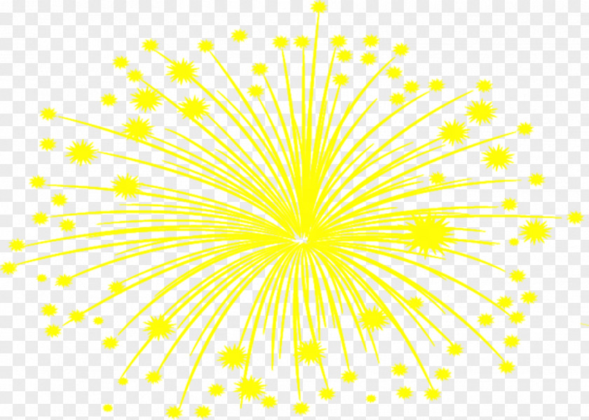 Yellow-painted New Year Fireworks Yellow Flowering Plant Pattern PNG