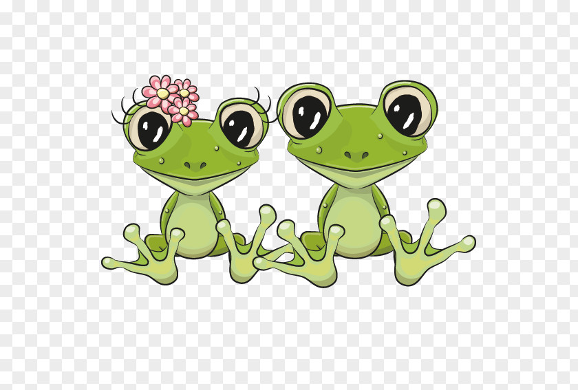 Frog Cartoon Couple Lithobates Clamitans PNG