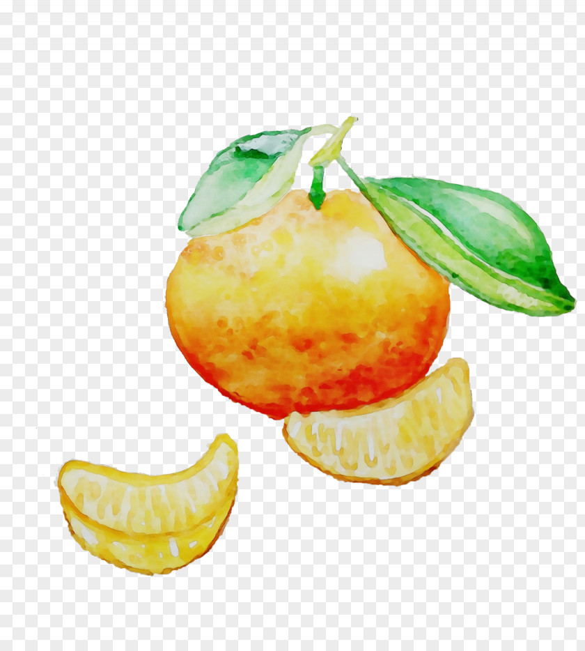 Lemon Accessory Fruit Food Citrus Plant Tangerine PNG