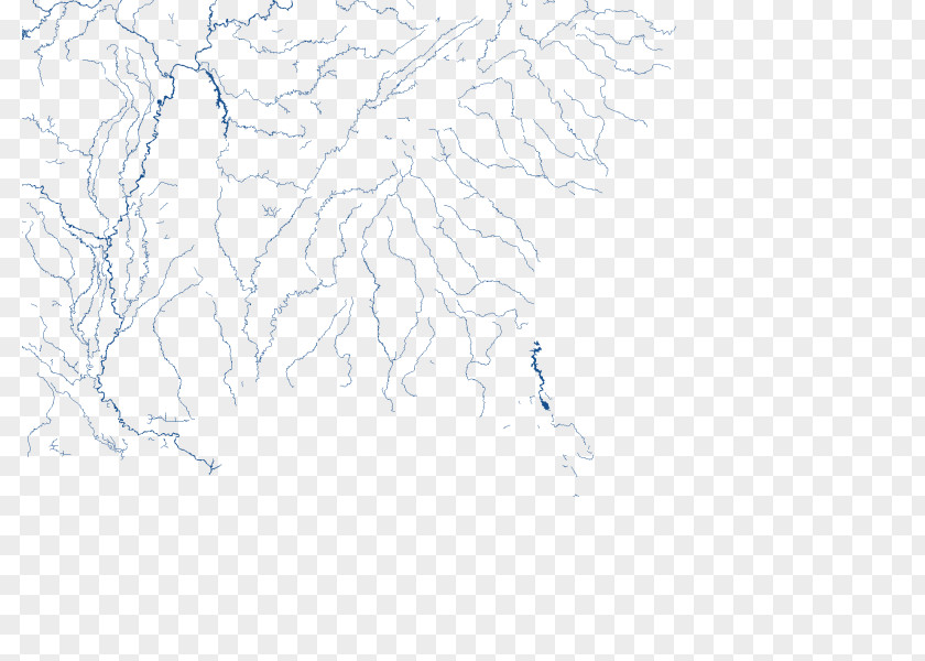 Line White Art Sketch PNG