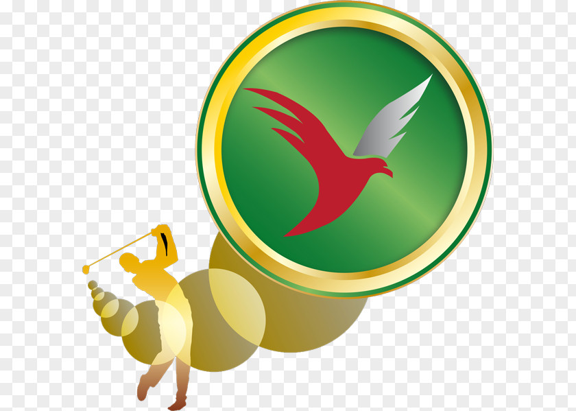 Albatross Bird Logo Beak PNG