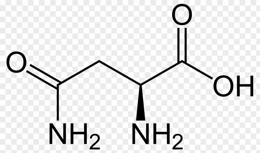 Aspartic Acid Glucogenic Amino Asparagine PNG