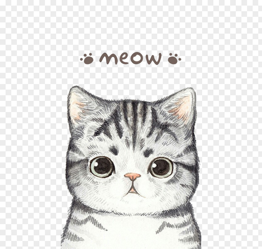 Cat Cartoon Clip Art PNG