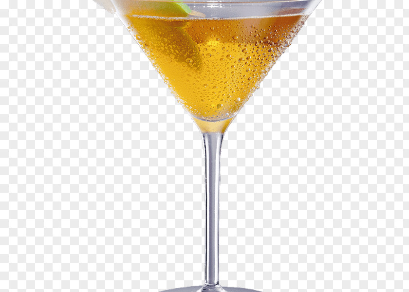 Cocktail Garnish Fizz Liquor Martini PNG