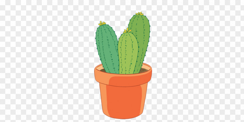 Hand-painted Potted Cactus Cactaceae Flowerpot PNG